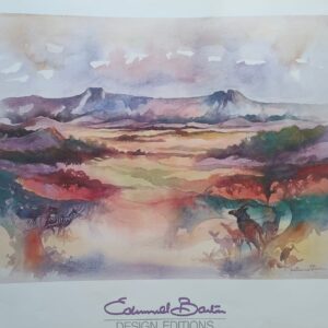 Amphitheatre with Kudu & Zebra