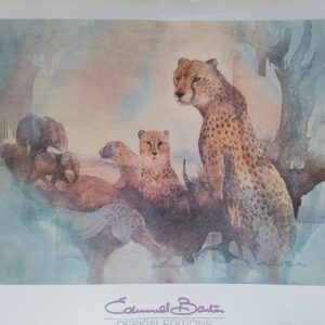 Edmund Barton Cheetah